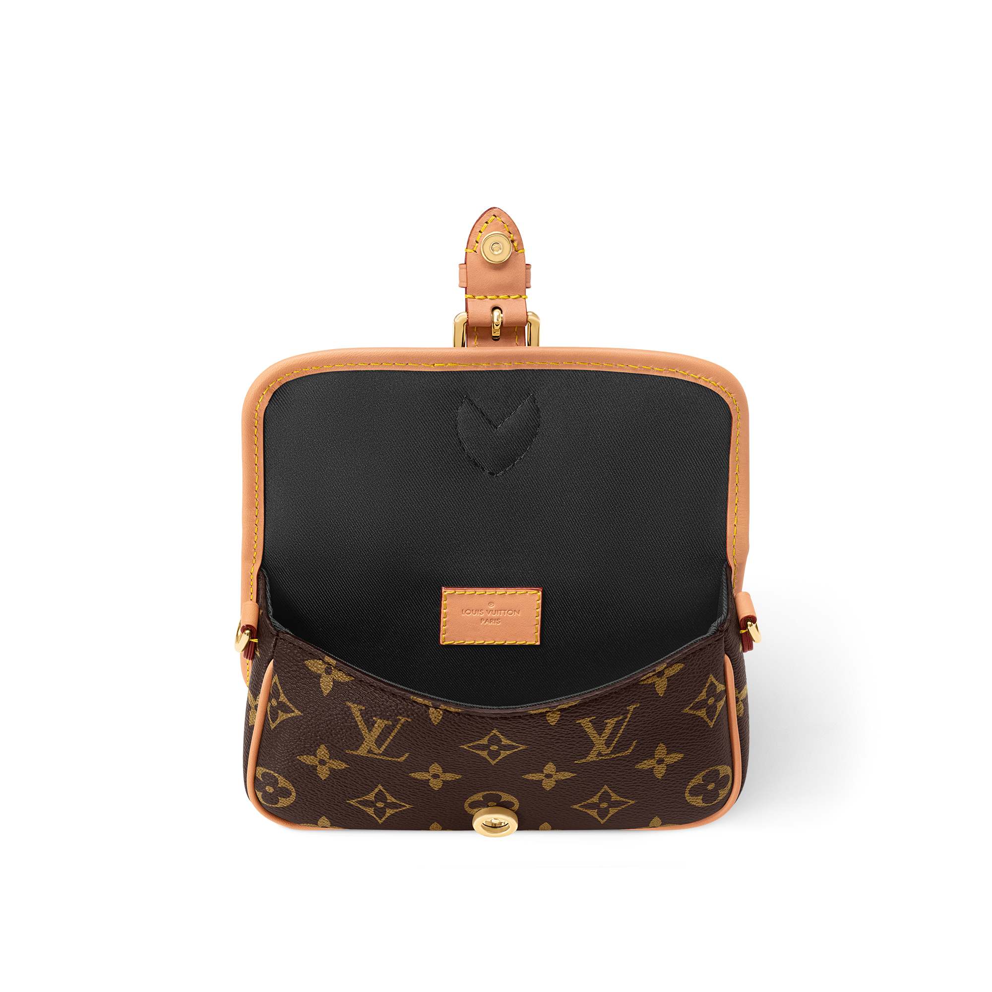 Nano Diane Monogram 帆布 in 女士