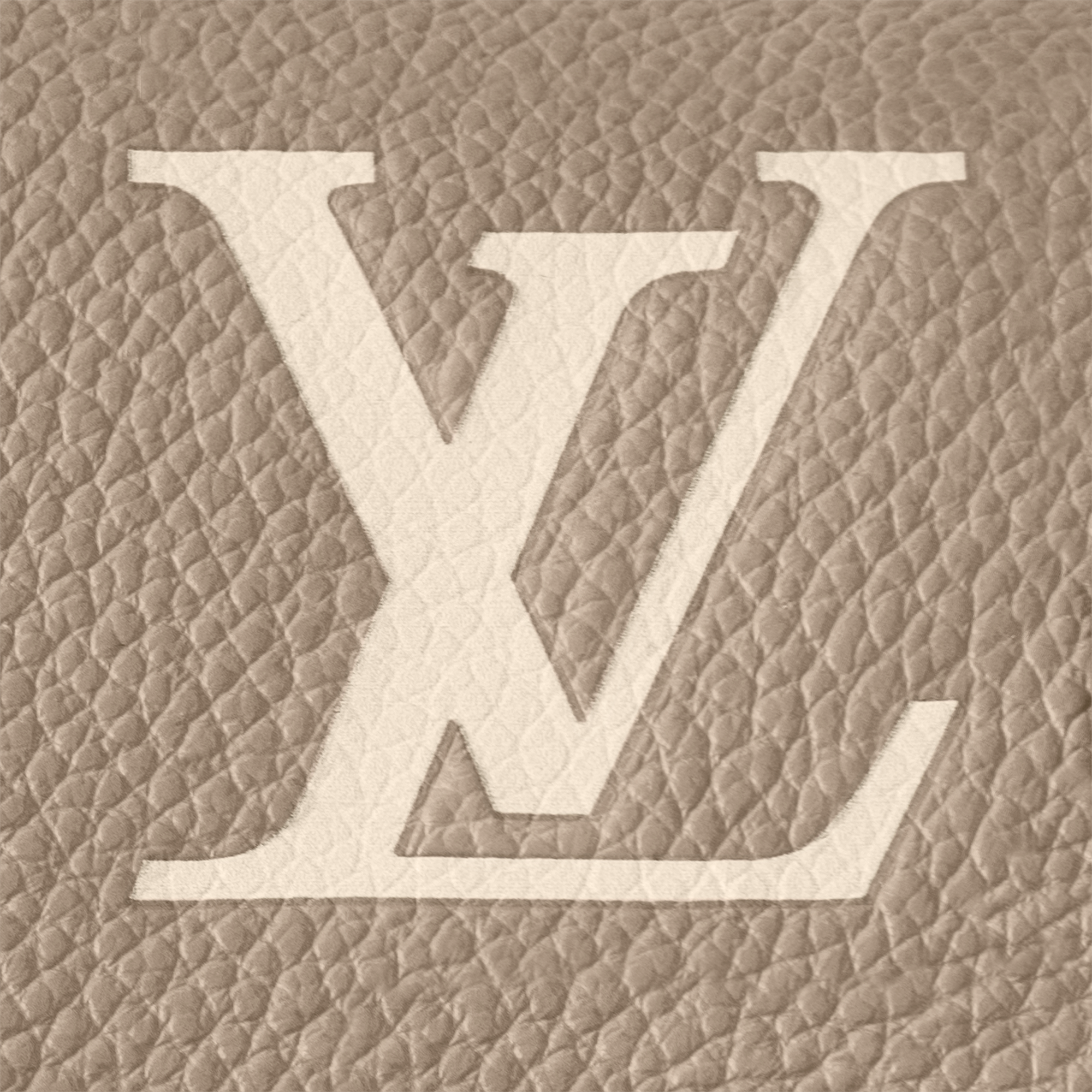 Nano Diane 雙色 Monogram Empreinte 皮革 in 女士