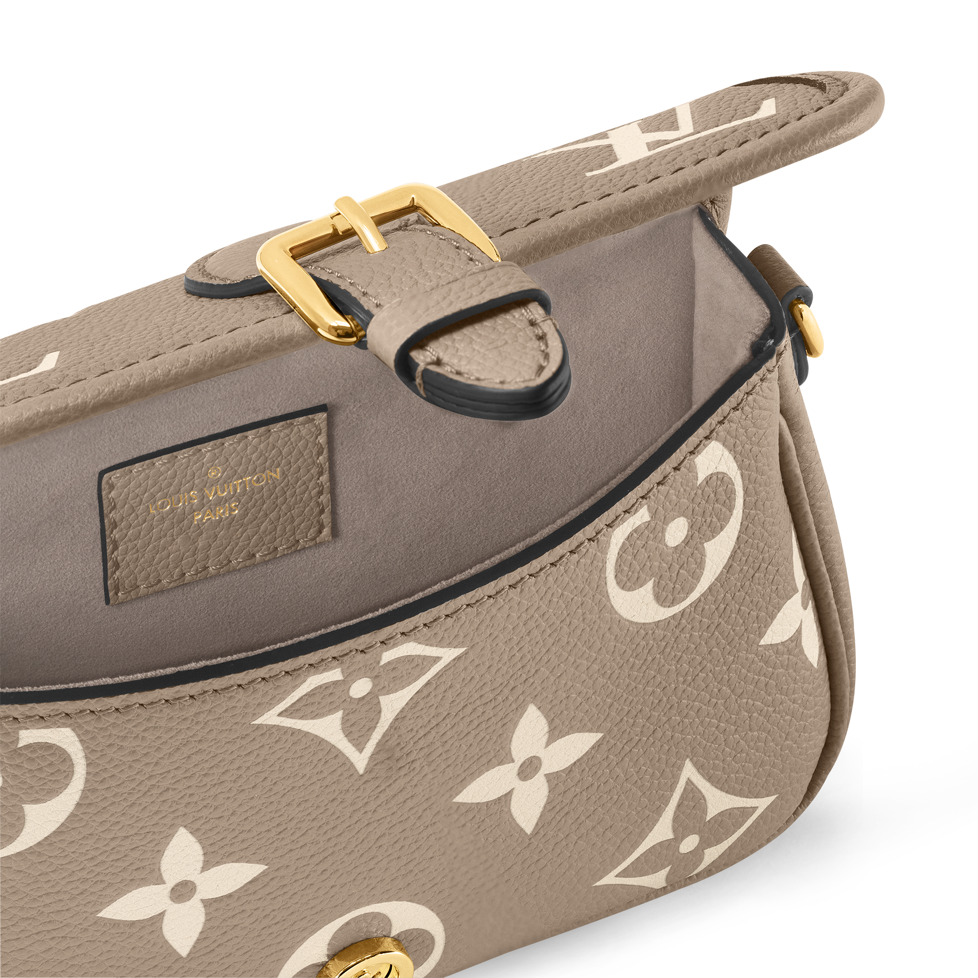 Nano Diane 雙色 Monogram Empreinte 皮革 in 女士