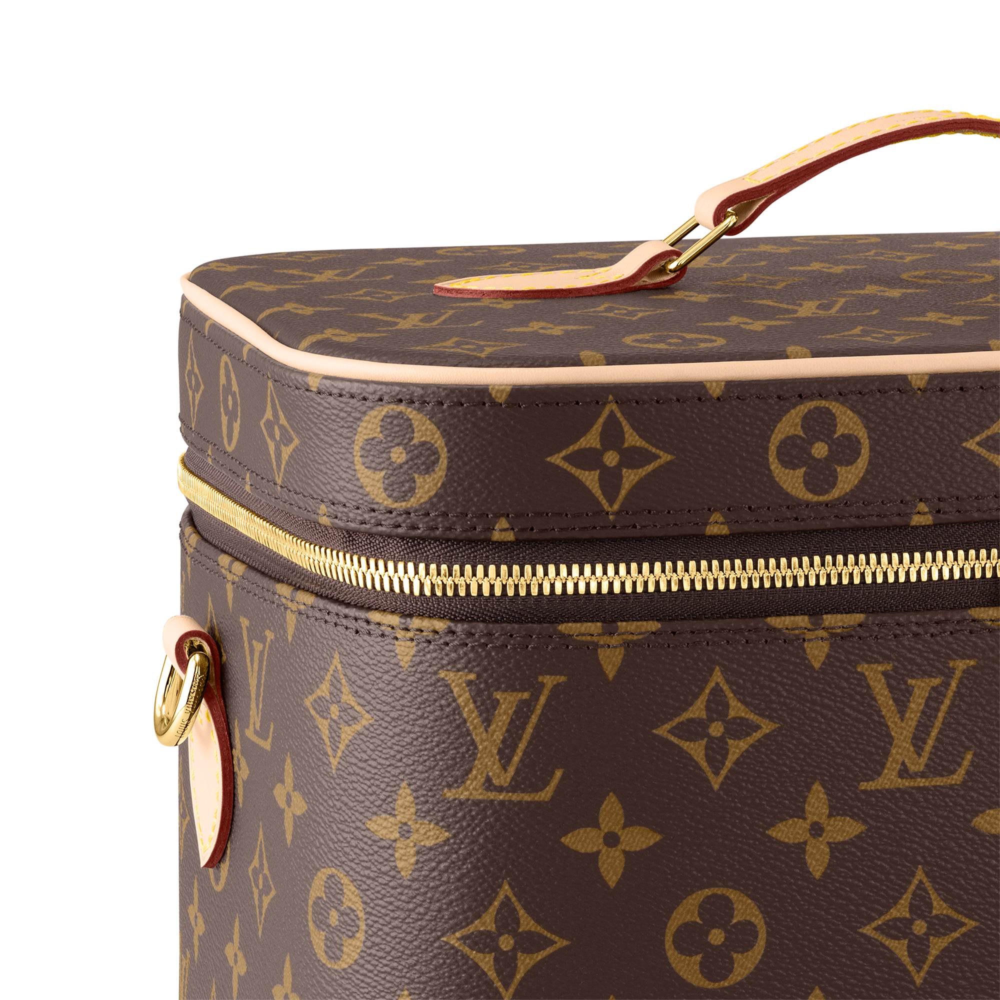 Nice Vanity Monogram 帆布 in 女士