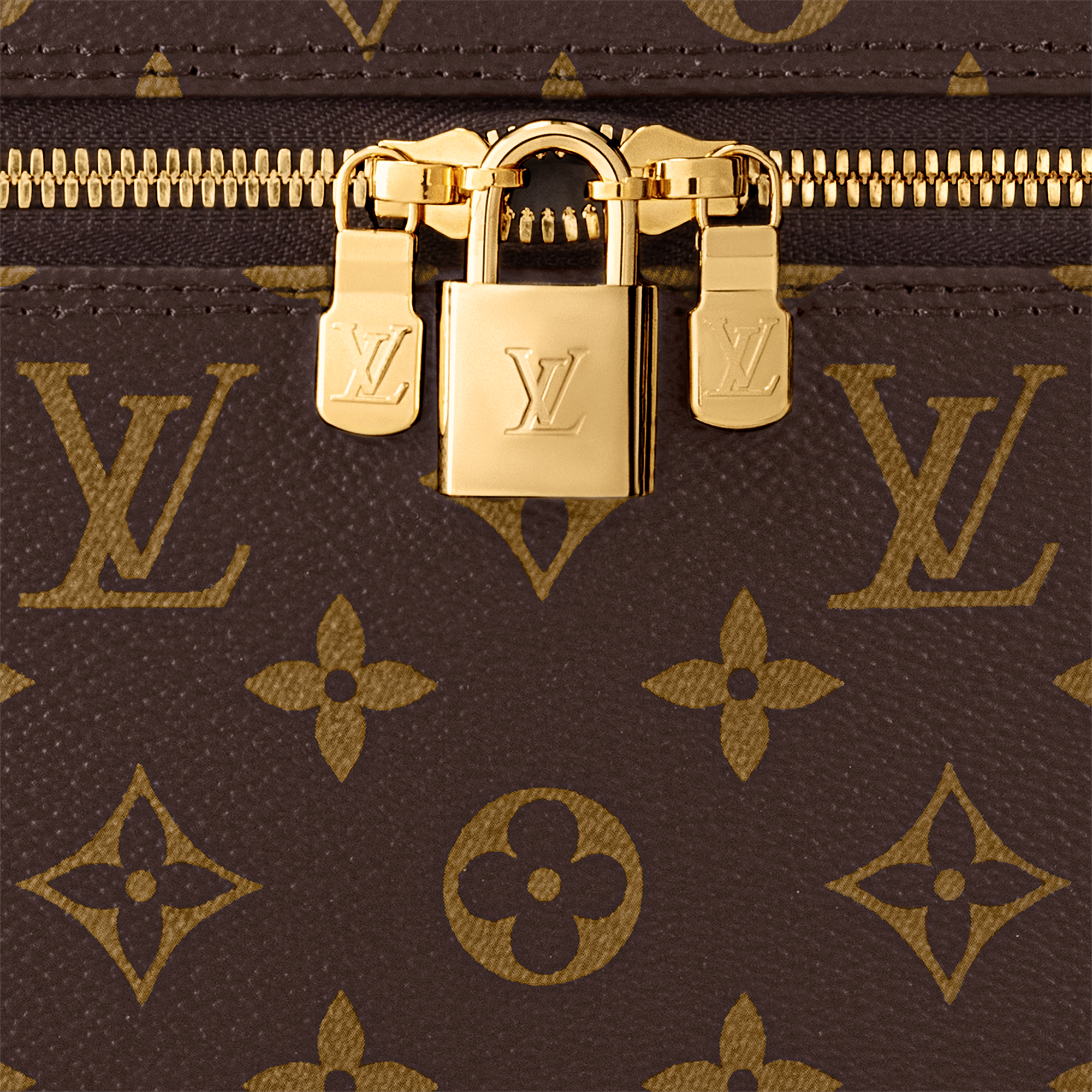 Nice Vanity Monogram 帆布 in 女士