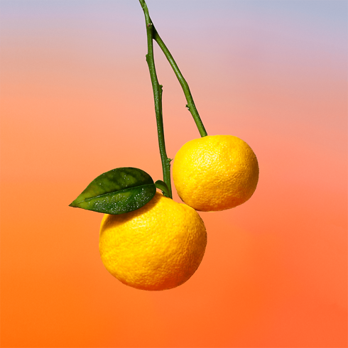 On The Beach in 香水及彩妝系列's 按系列瀏覽 男士香水 collections by Louis Vuitton (產品縮放)