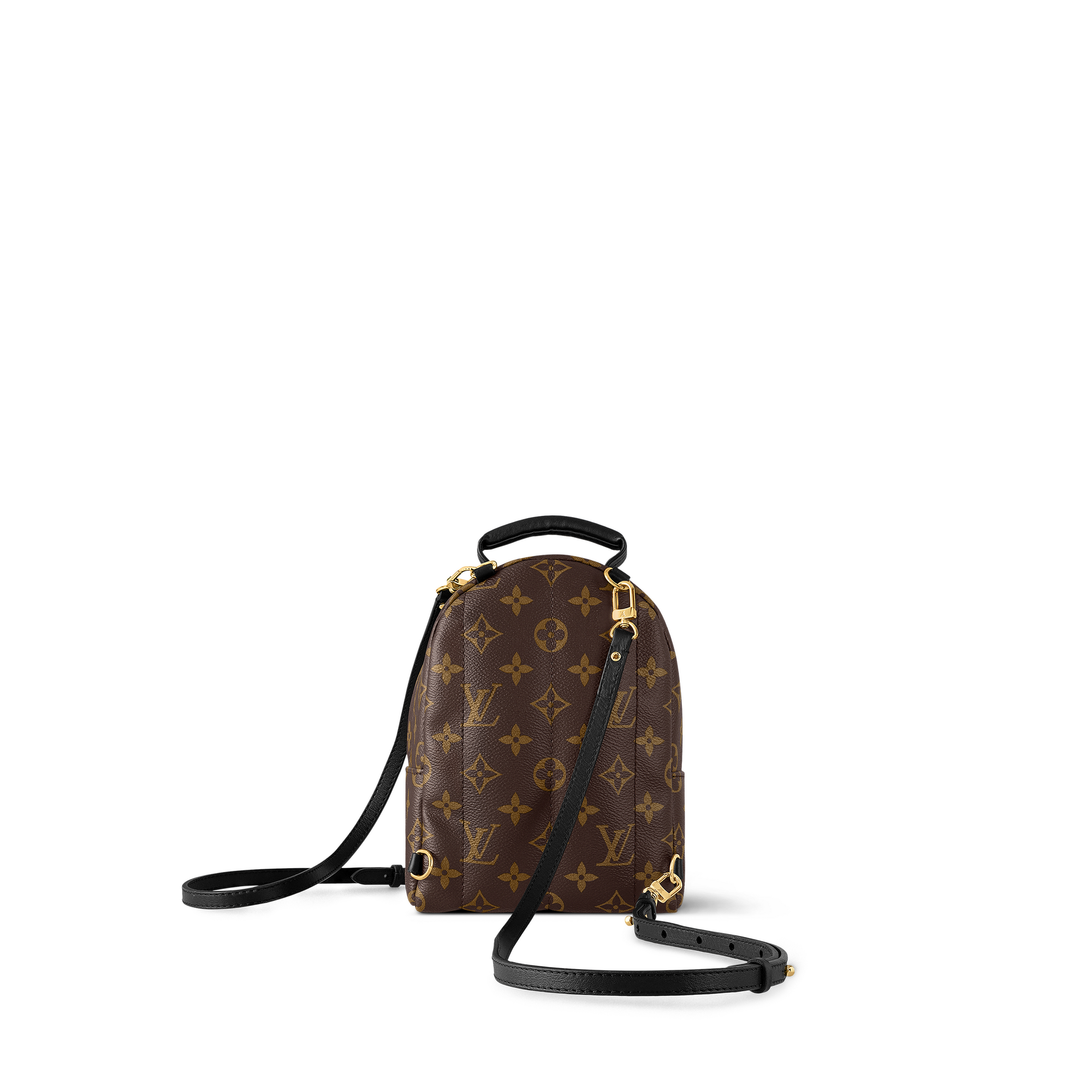Palm Springs Mini Monogram 帆布 in 女士