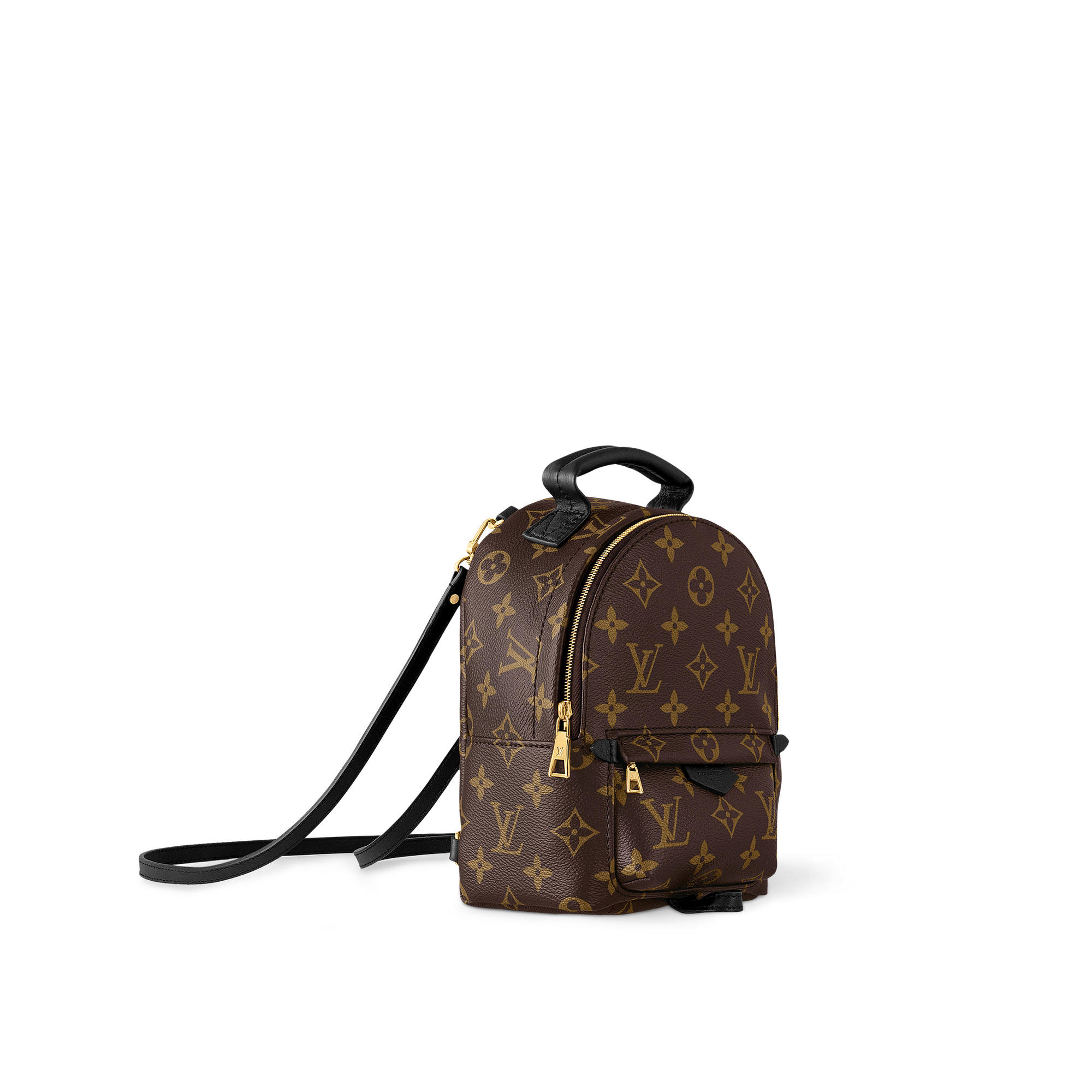 Palm Springs Mini Monogram 帆布 in 女士