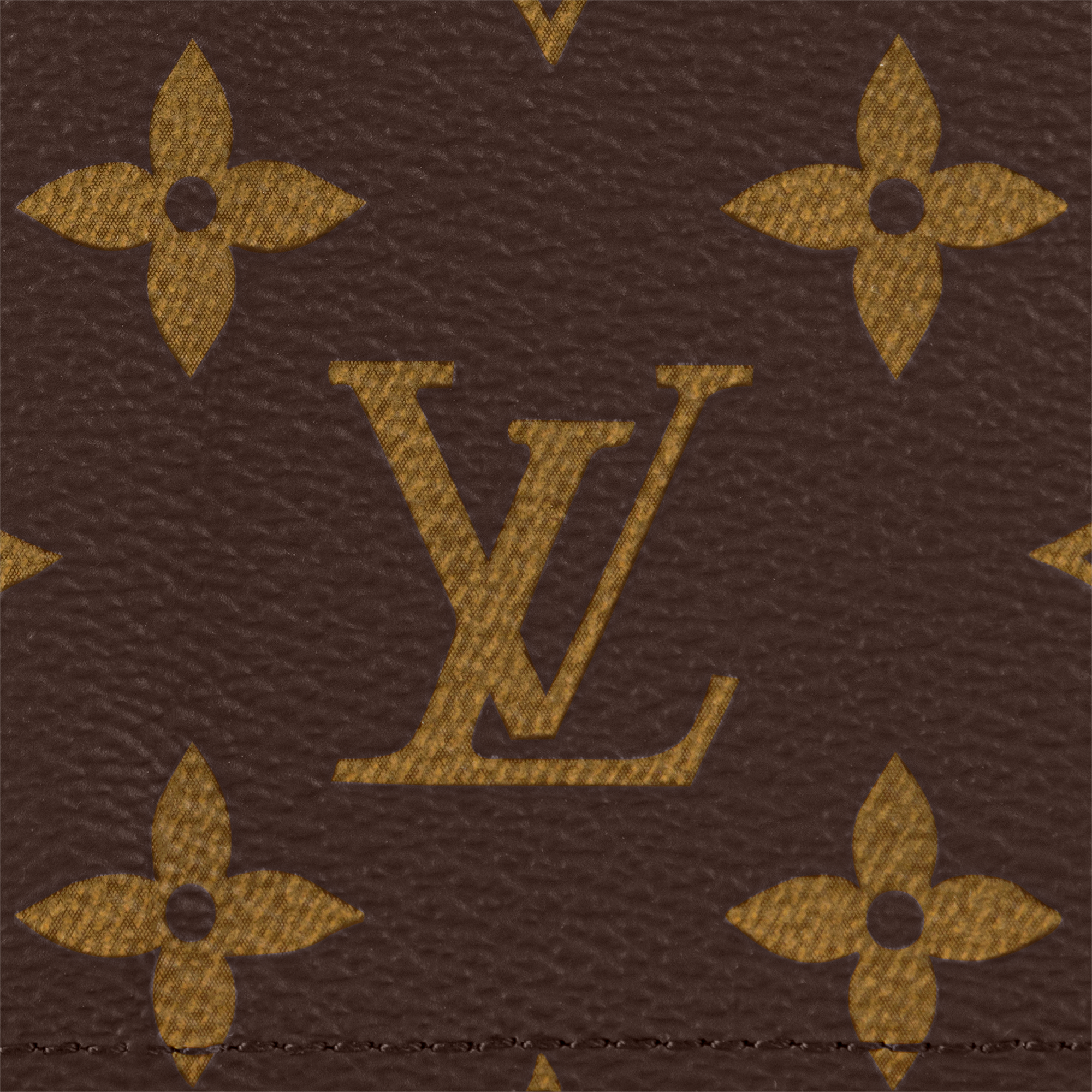 護照封套 Monogram 帆布 in 女士