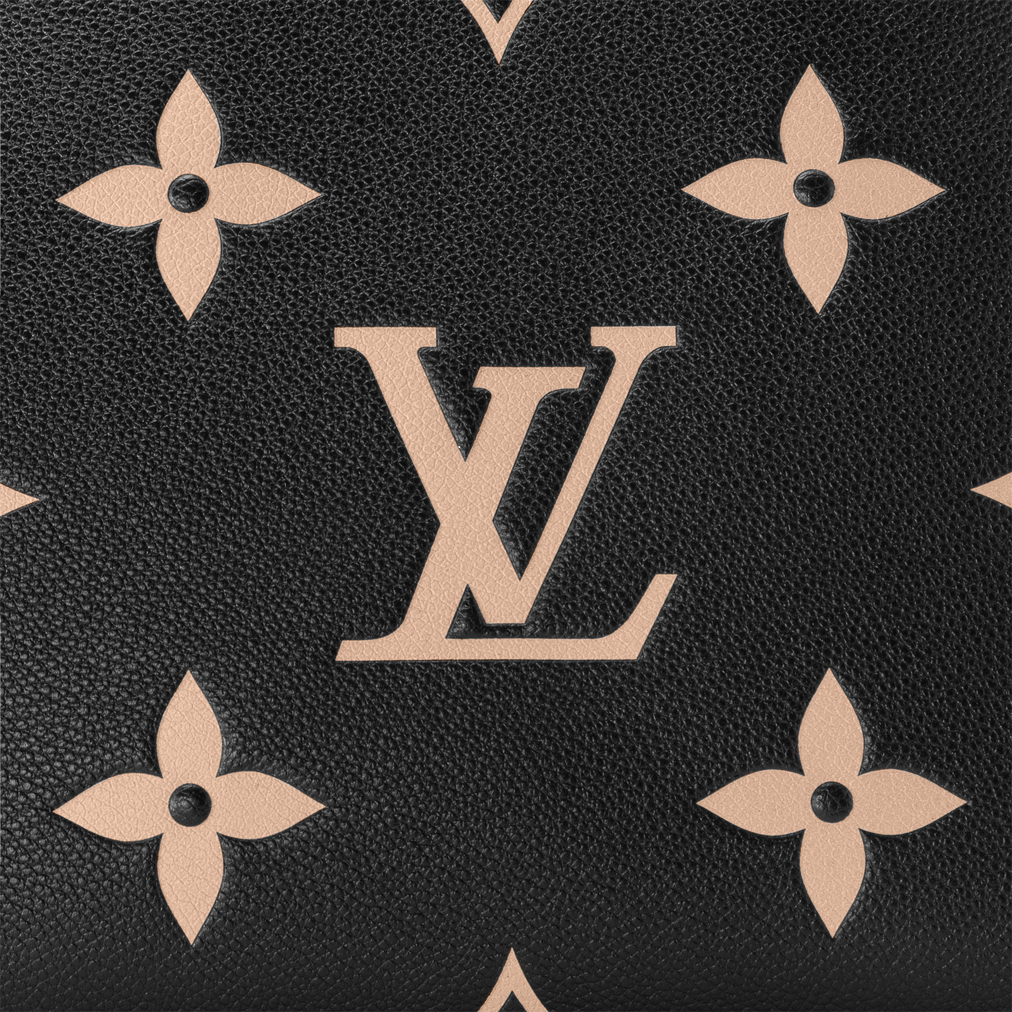 Petit Palais 雙色 Monogram Empreinte 皮革 in 女士