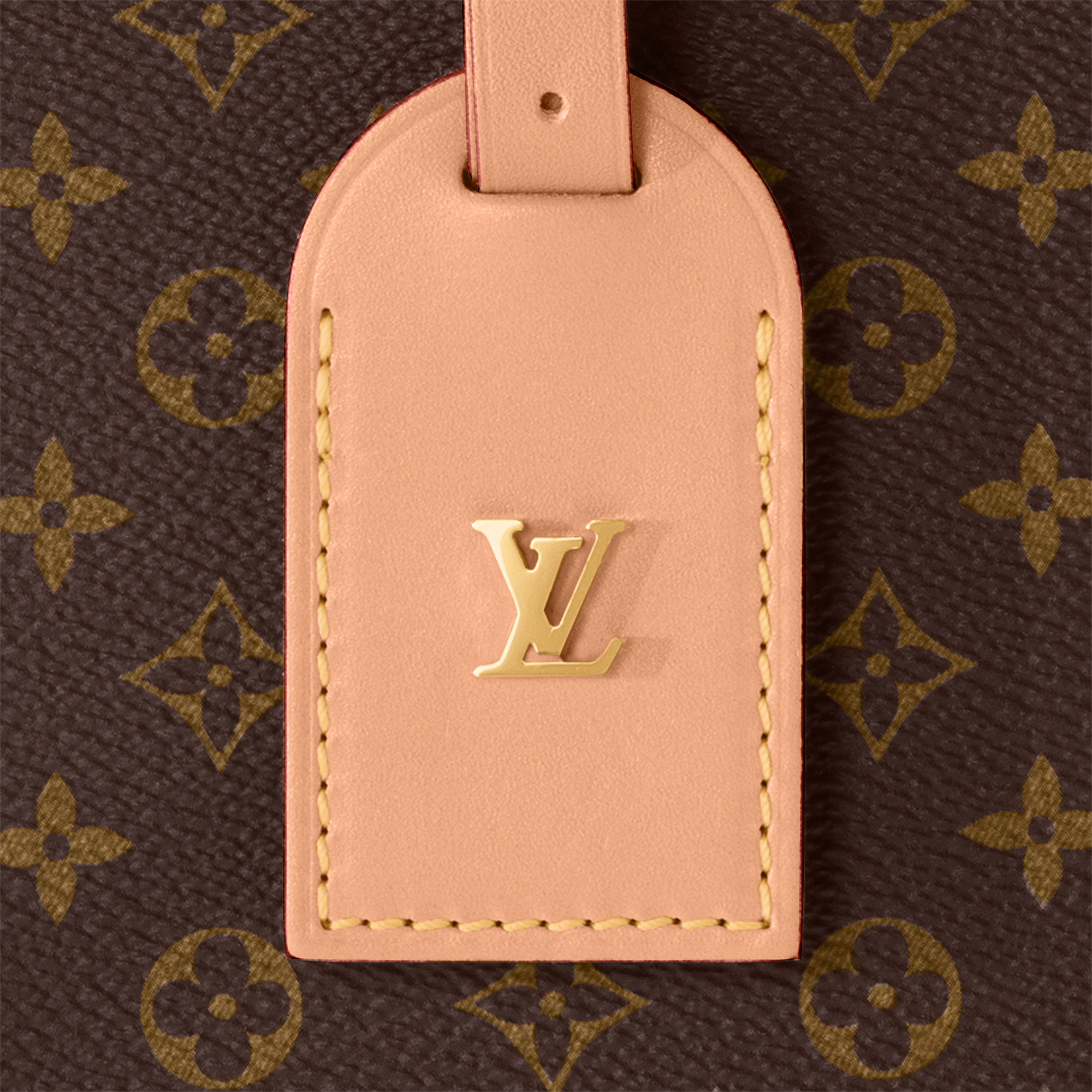 Petite Boite Chapeau Monogram 帆布 in 女士