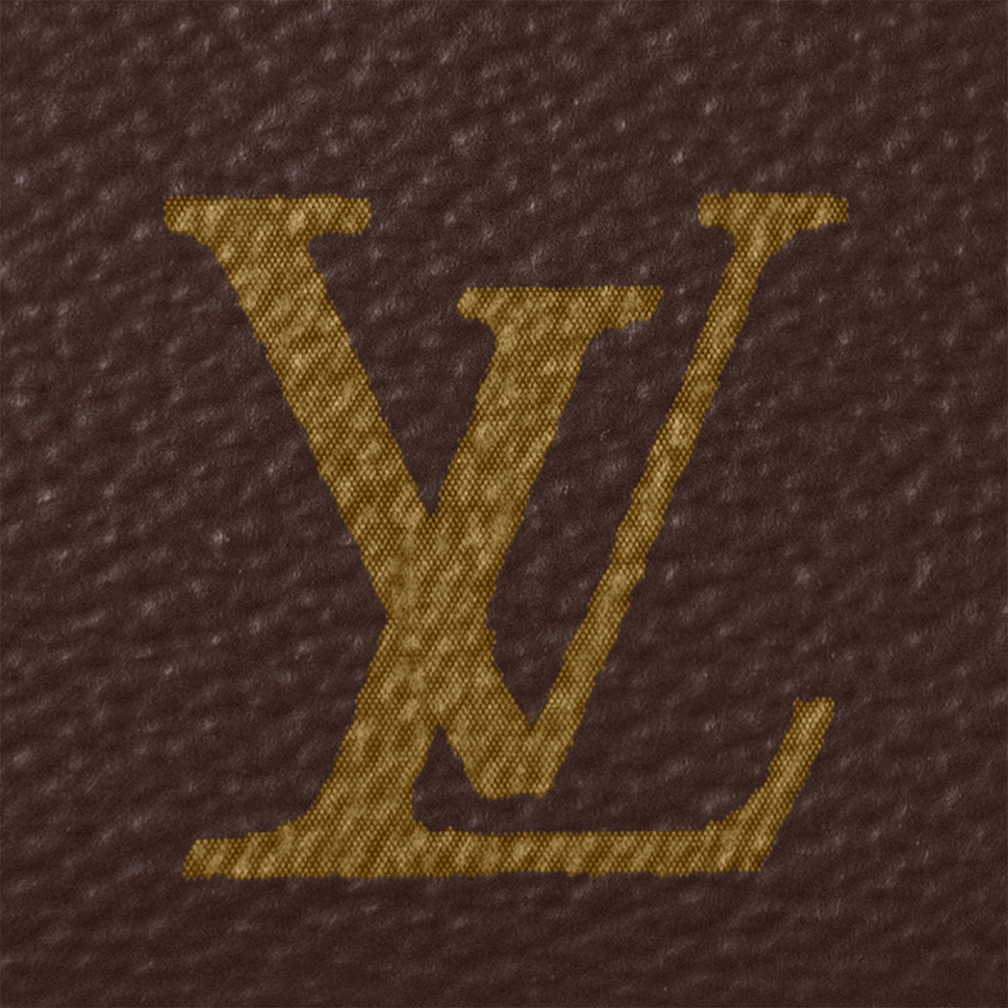 Pochette Accessoires Monogram 帆布 in 女士