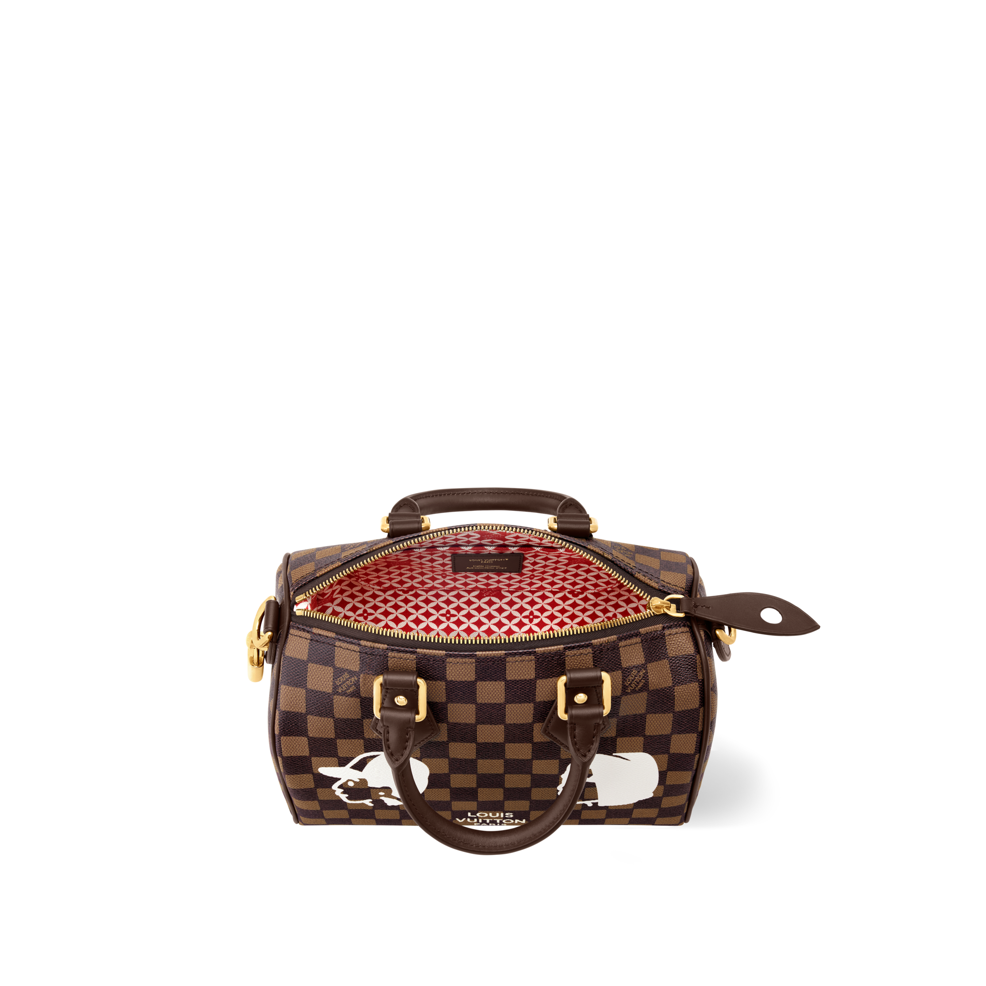 Speedy 25 Bandoulière Damier Other in 時尚包包及小型皮件
