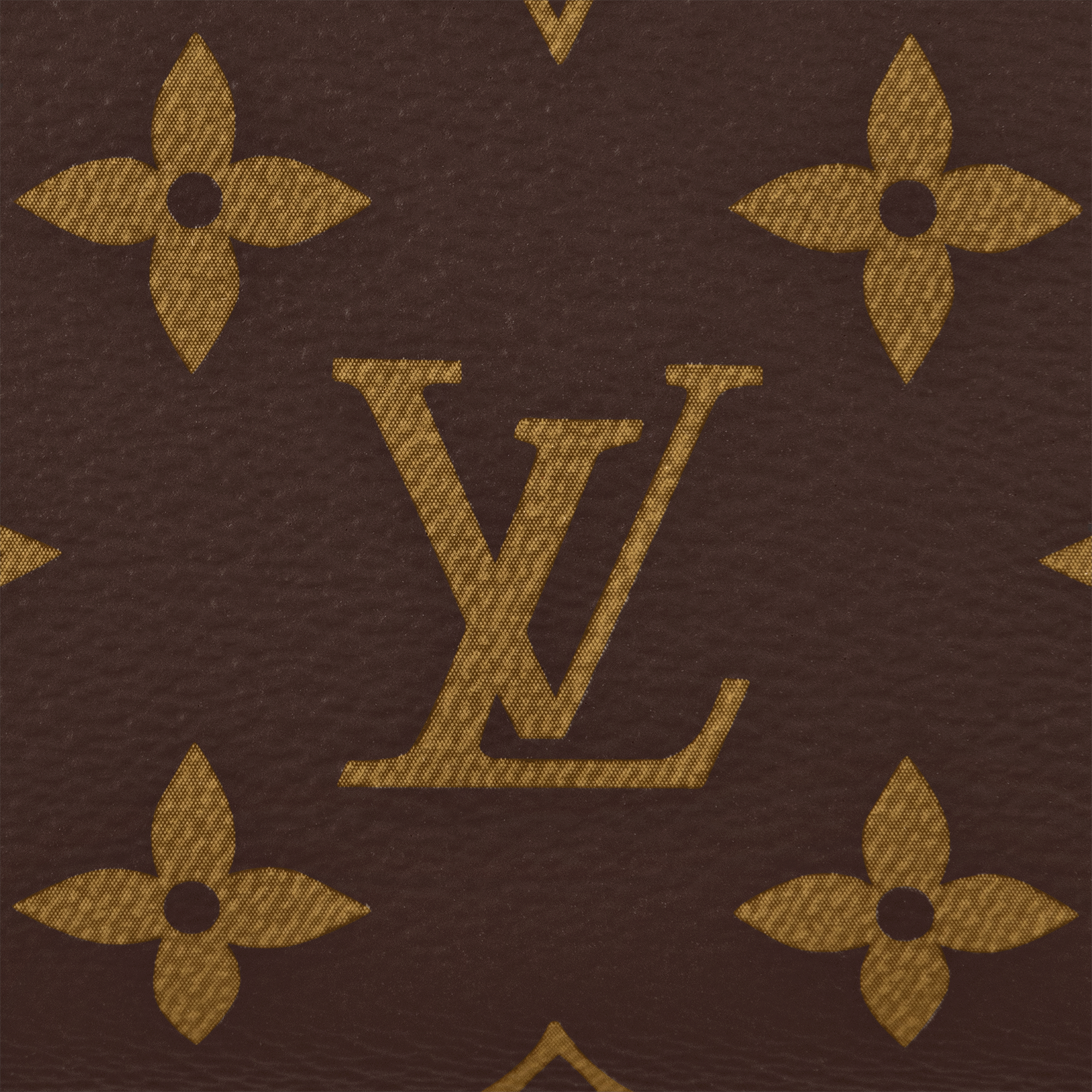 Speedy Bandoulière 20 Monogram 帆布 in 女士