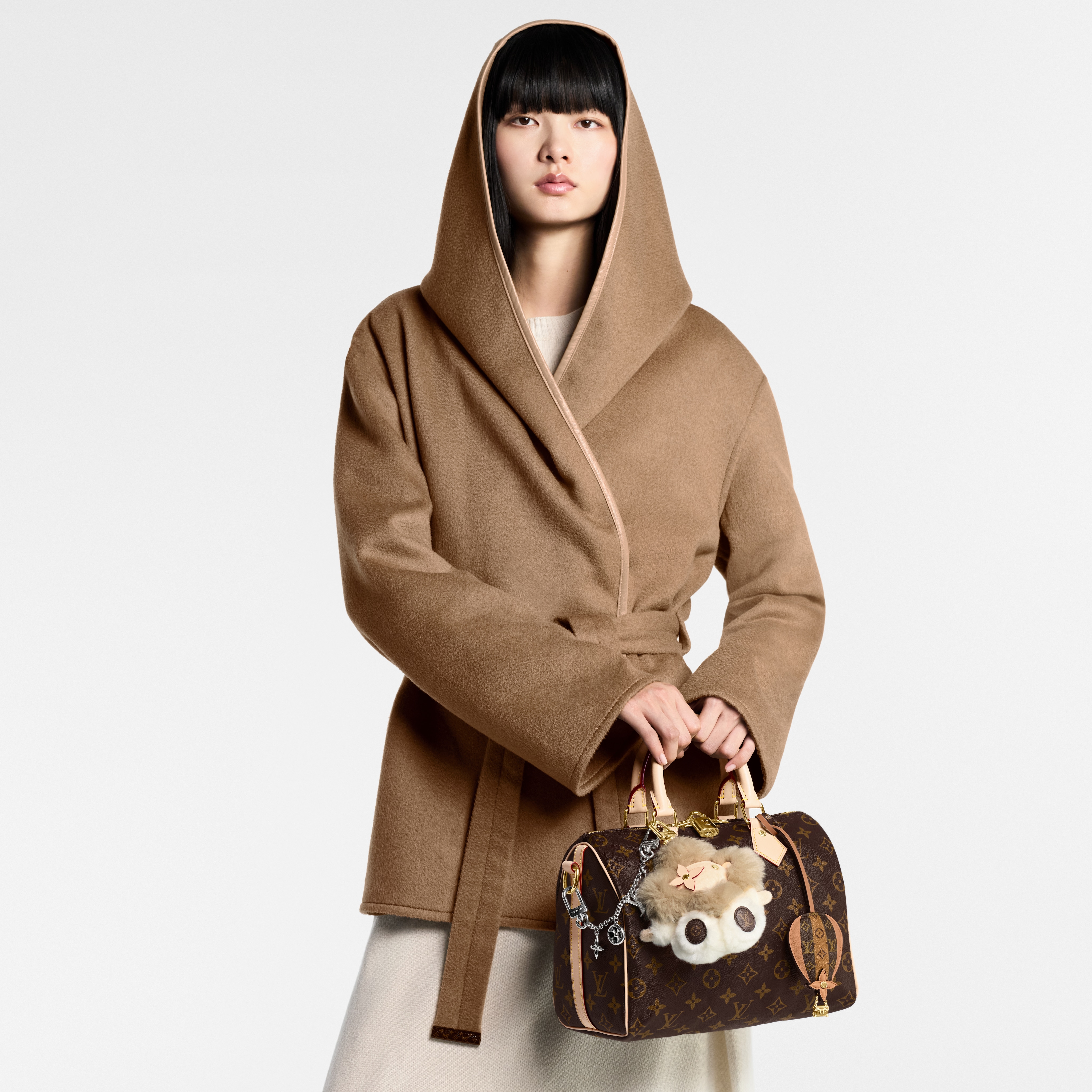 Speedy Bandoulière 25 Monogram 帆布 in 女士