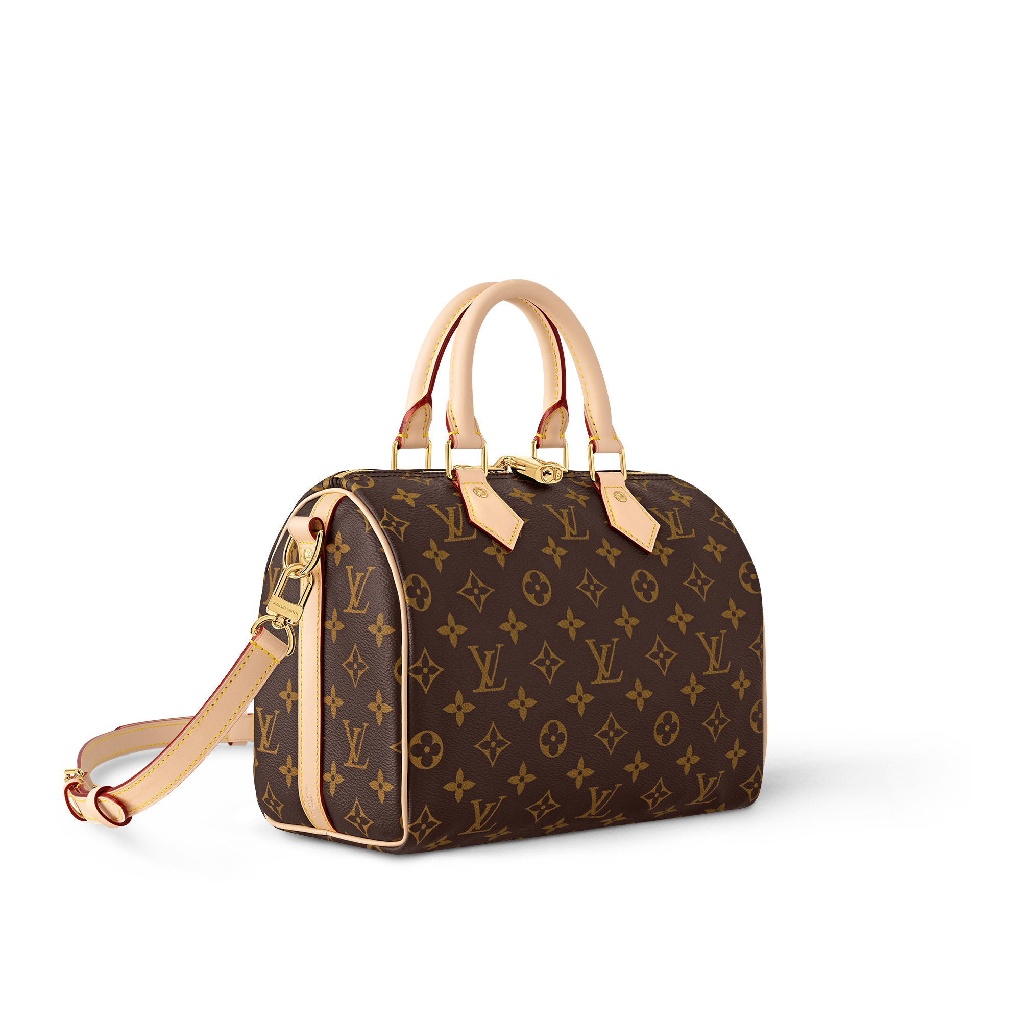 Speedy Bandoulière 25 Monogram 帆布 in 女士
