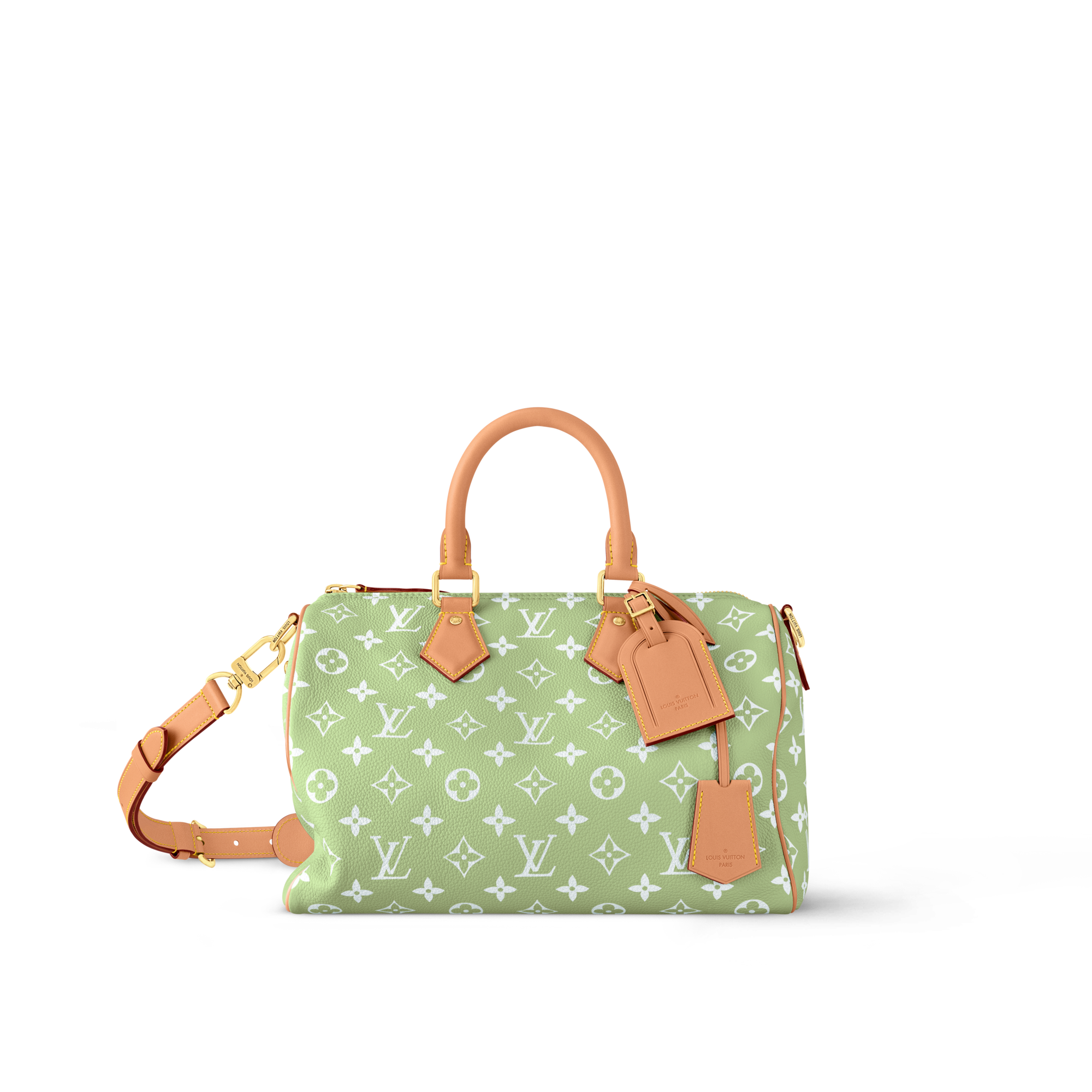 Speedy P9 Bandoulière 30 Autres Cuirs Monogram in Les Extraordinaires