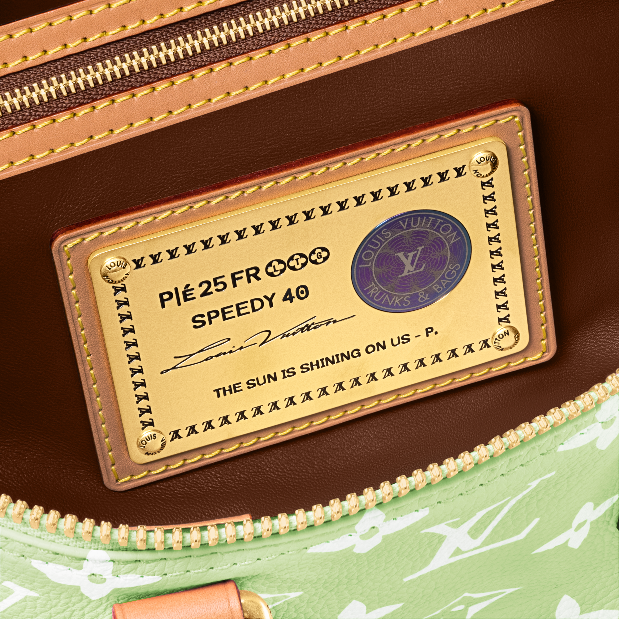 Speedy P9 Bandoulière 40 Autres Cuirs Monogram in Les Extraordinaires