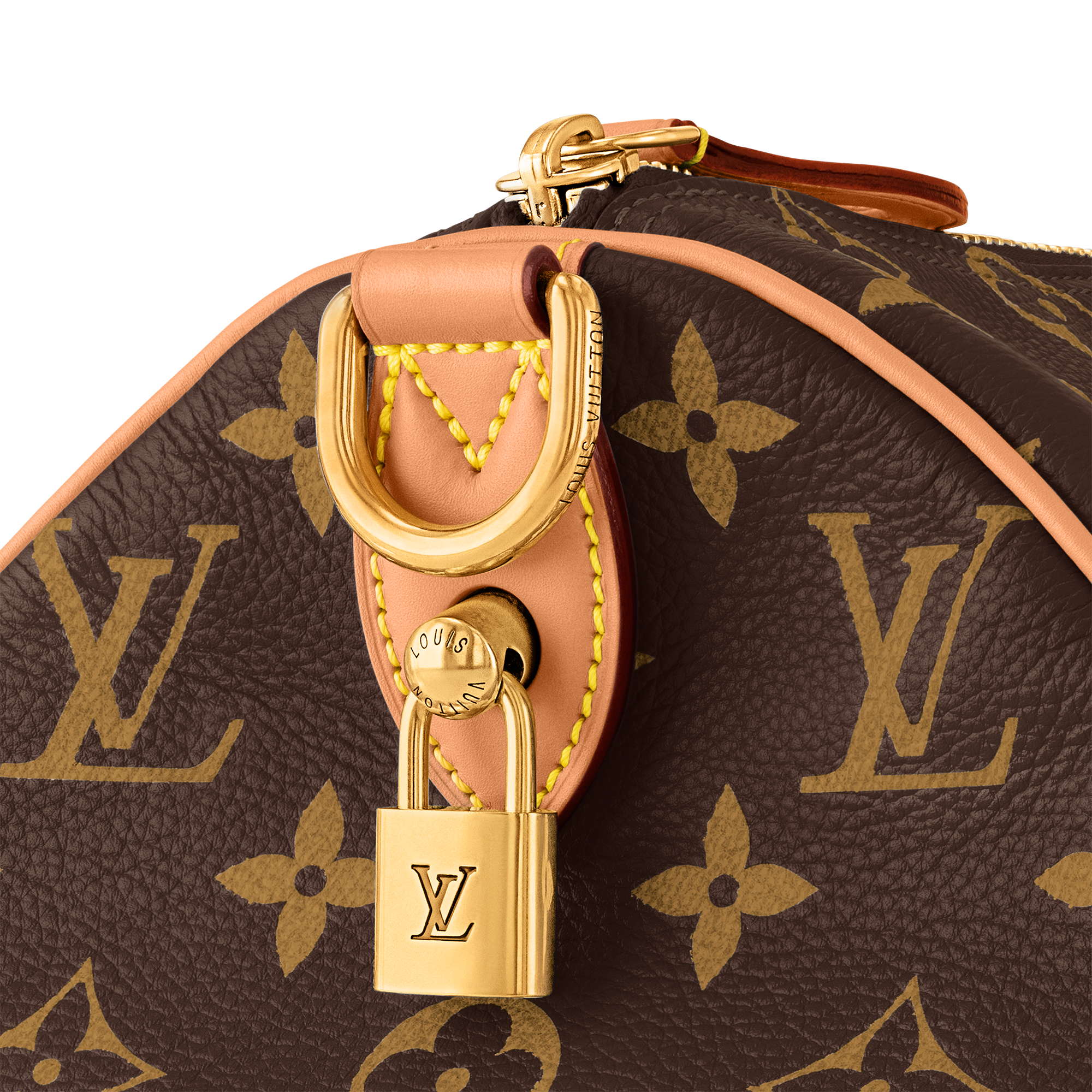 Speedy P9 Bandoulière 40 Autres Cuirs Monogram in Les Extraordinaires