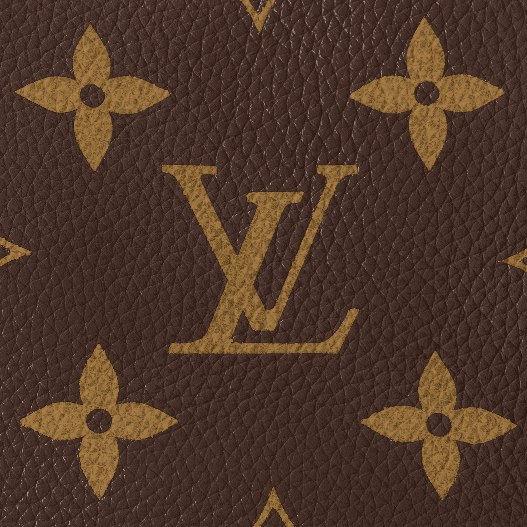 Speedy P9 Bandoulière 40 Autres Cuirs Monogram in Les Extraordinaires