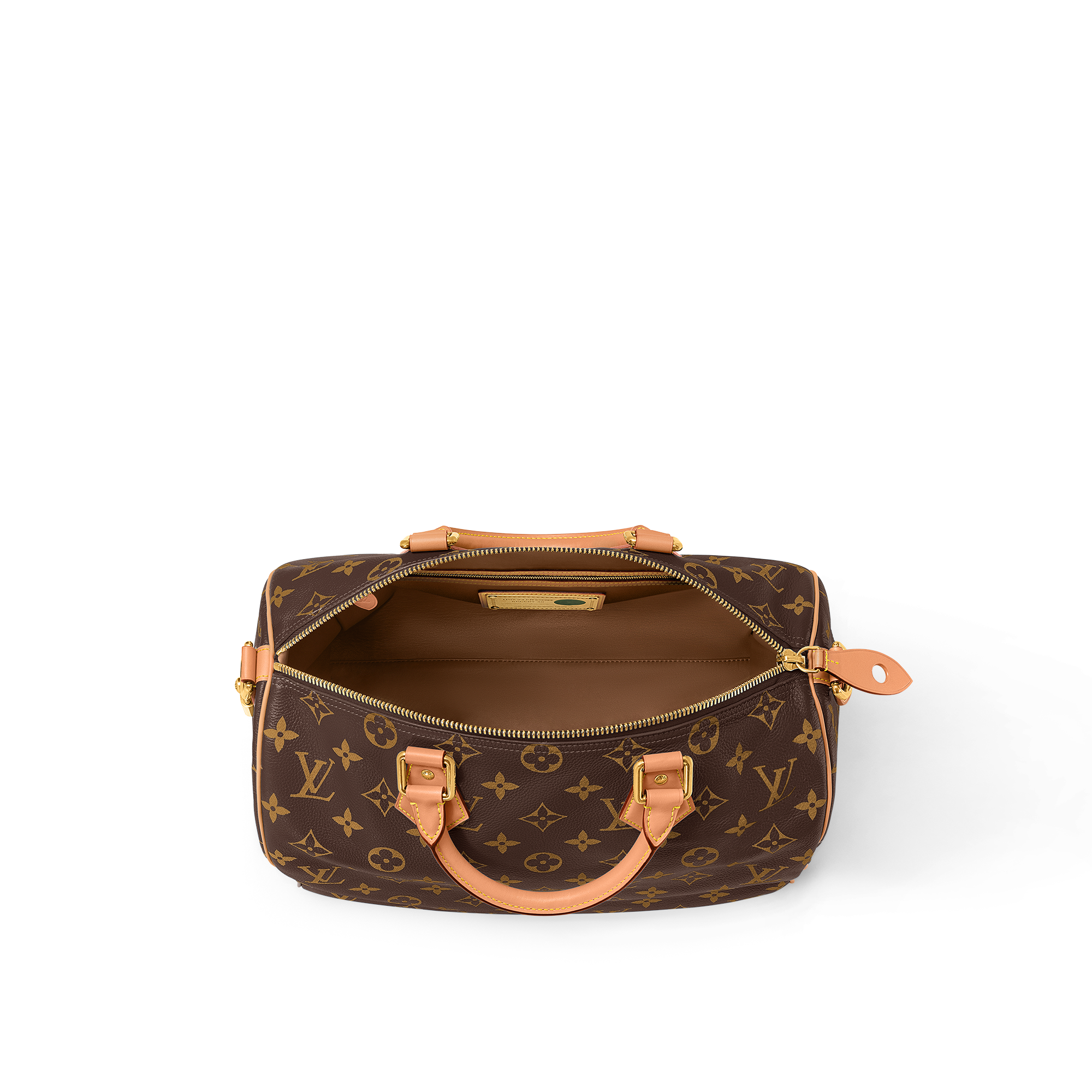 Speedy P9 Bandoulière 40 Autres Cuirs Monogram in Les Extraordinaires