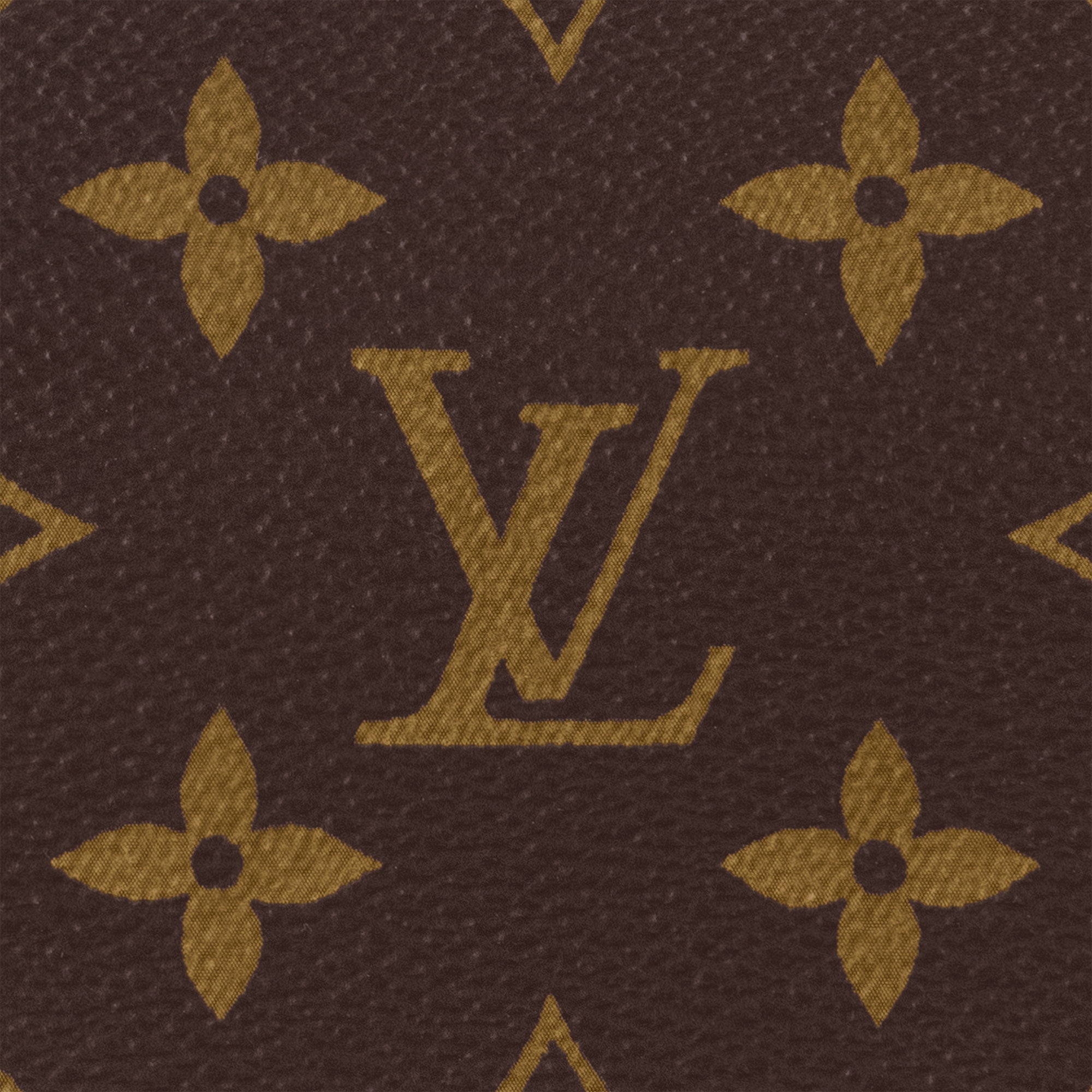 Speedy Trunk 20 Monogram Monogram 帆布 in Les Extraordinaires