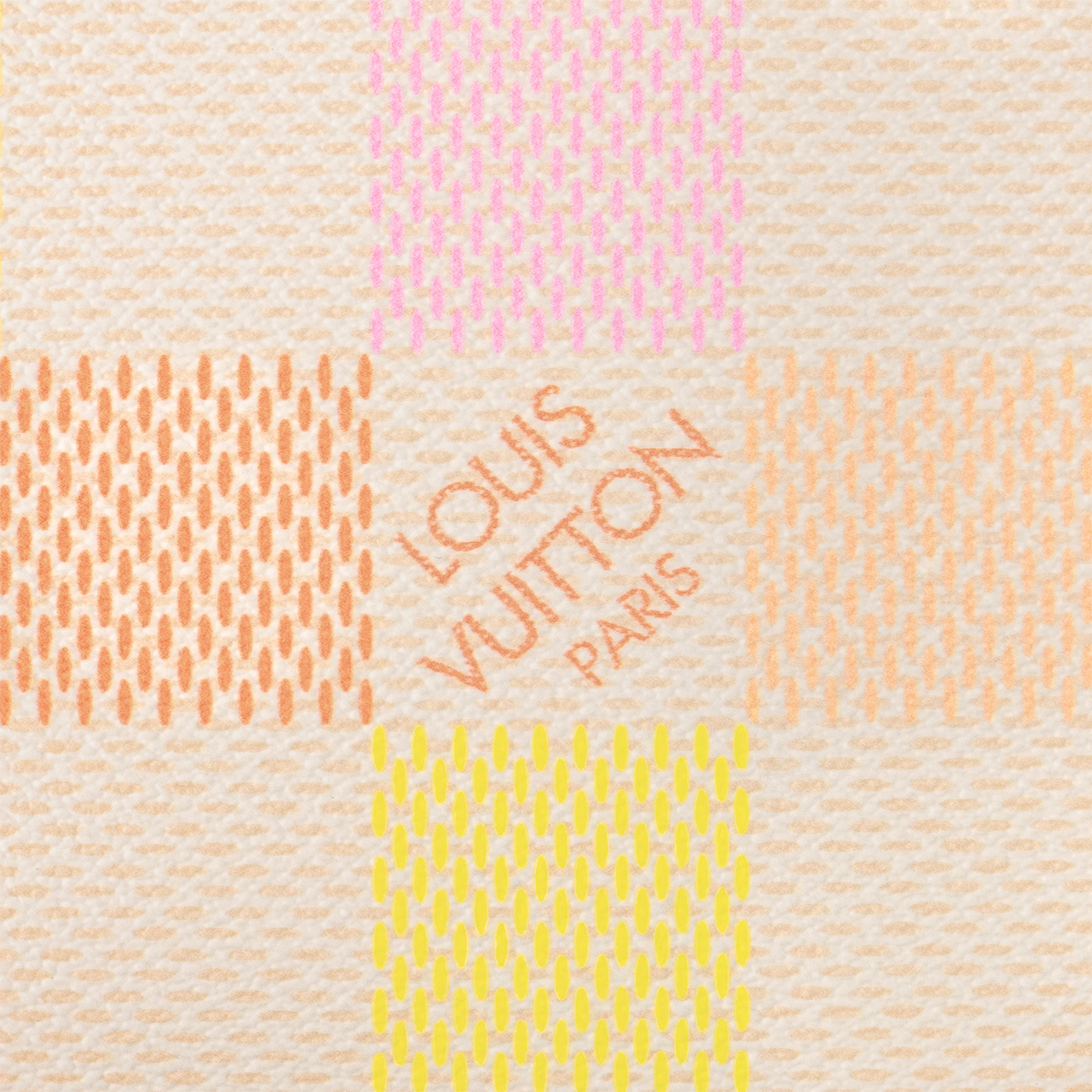 Toilet Pouch 其他 Damier 帆布 in 女士