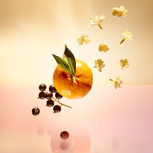 Le Jour se Lève 旅行裝噴霧香水芯 in 香水及彩妝系列's 香水總覽 } collections by Louis Vuitton (產品縮放)