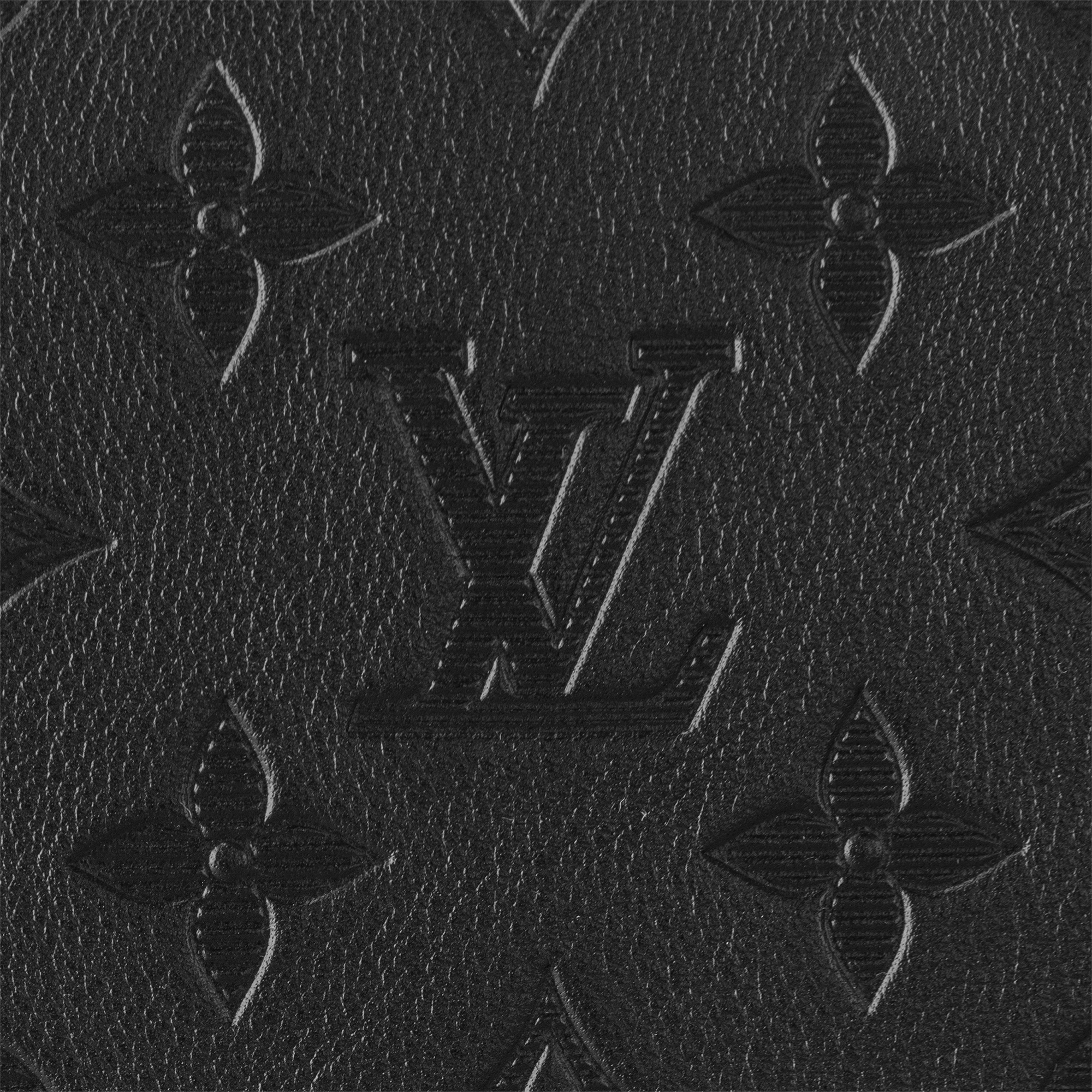 Trousse Toilette GM Monogram Shadow 皮革 in 男士