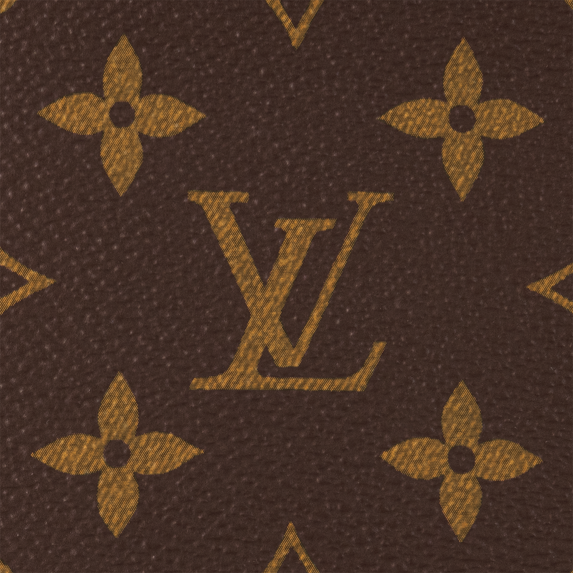 Wallet on Chain Ivy Monogram 帆布 in 女士